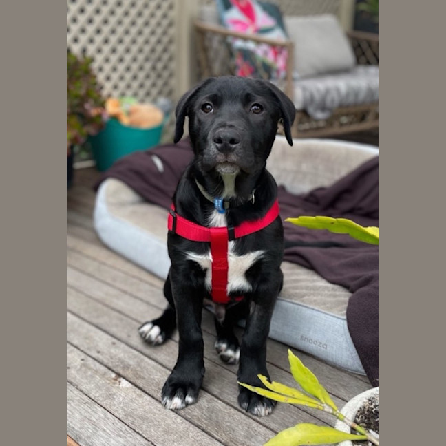 Photo of Cash