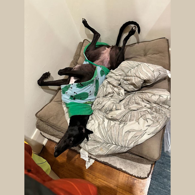 Photo of Keira