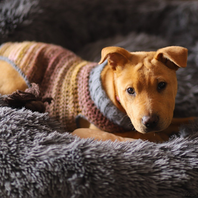 Photo of Ellie