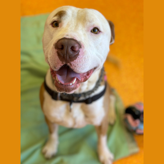 Photo of Odin