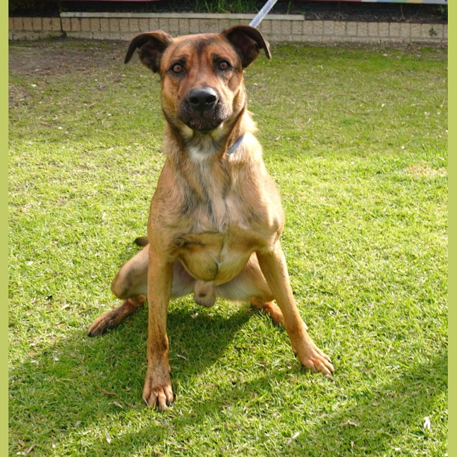 Photo of Loki