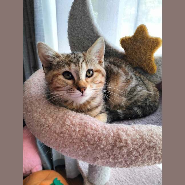 Photo of Savannah & Sahara