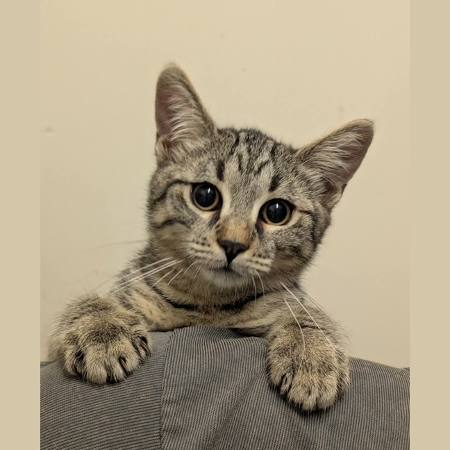Photo of Steve