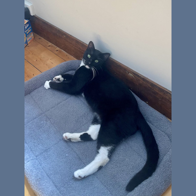 Photo of Pablo 