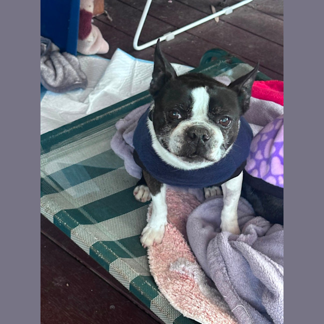 Photo of Timmy