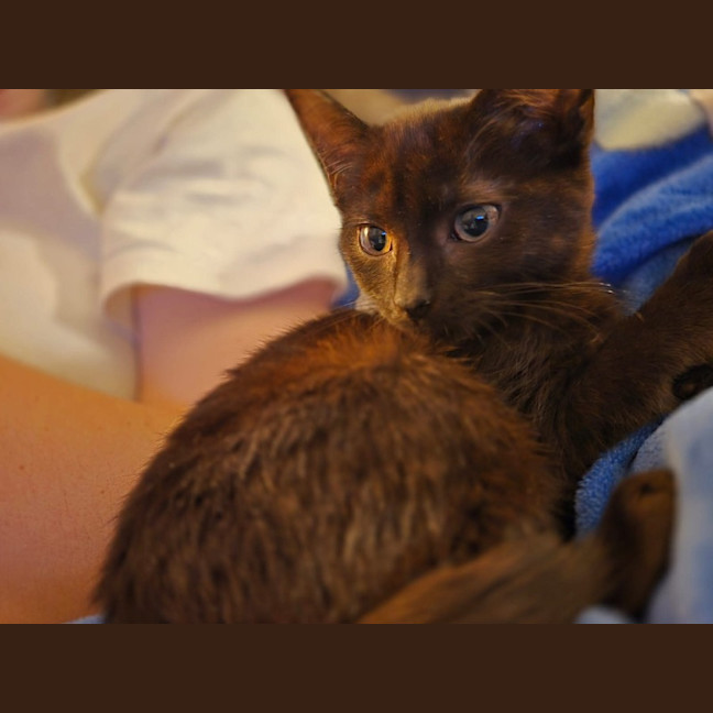 Photo of The Void!! 🐈‍⬛