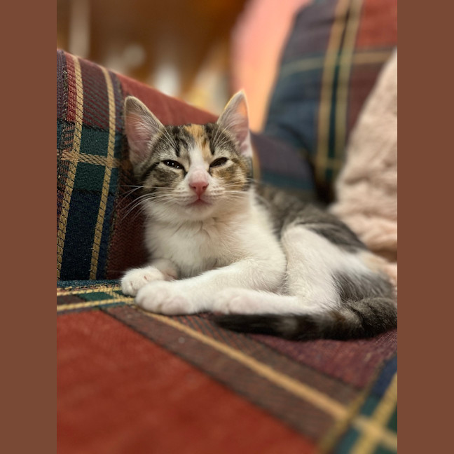 Photo of Kiki   Penelope