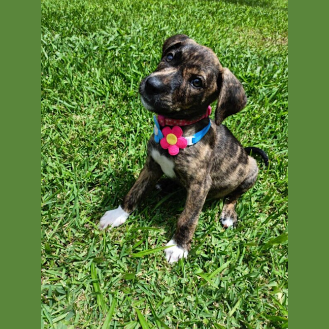 Photo of Chloe