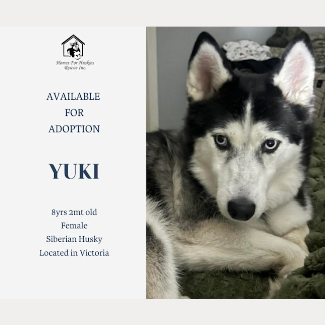 Photo of Yuki