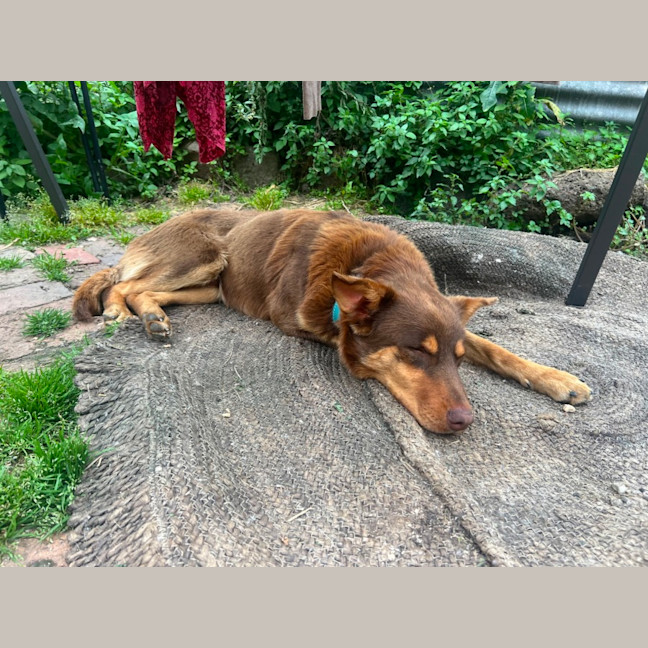 Photo of Gus