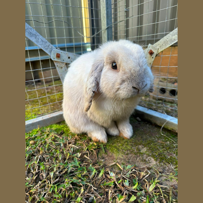 Photo of Dan