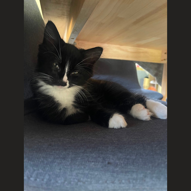Photo of Stripe