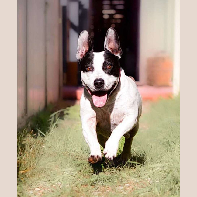 Photo of Biggie Smallz