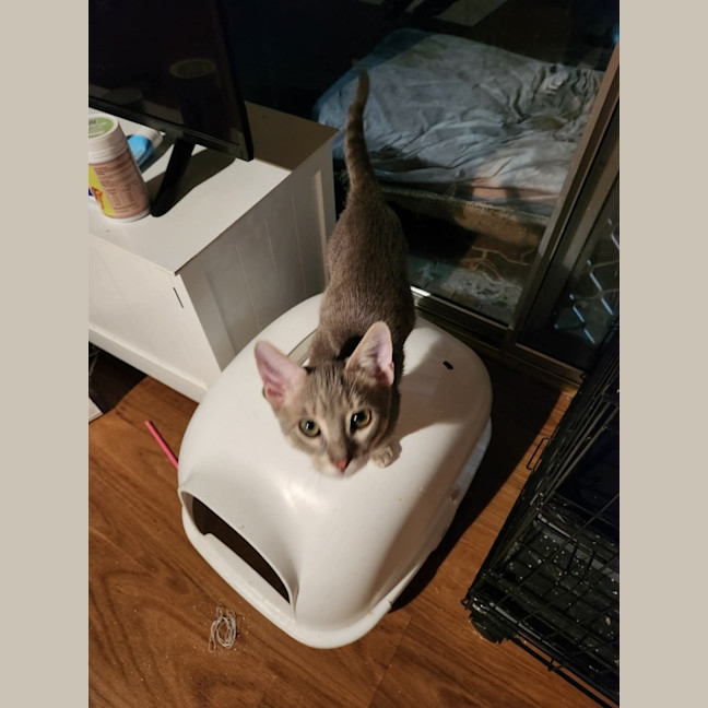 Photo of Ridoc