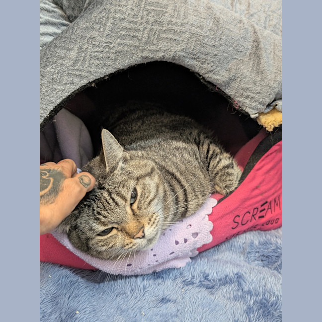 Photo of Roxy