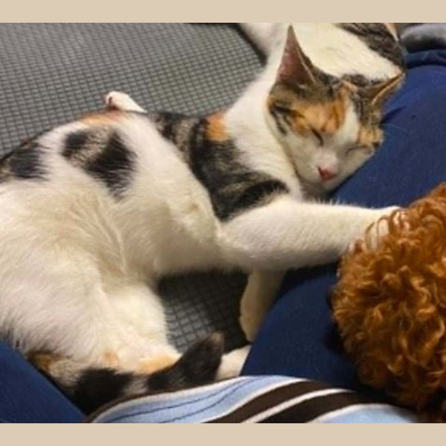 Photo of Missy & Baby 