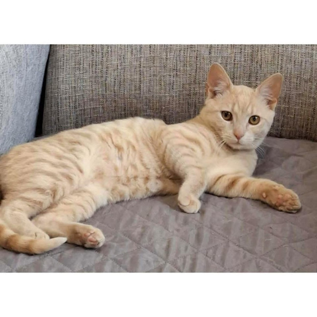 Photo of 12572   Ricky