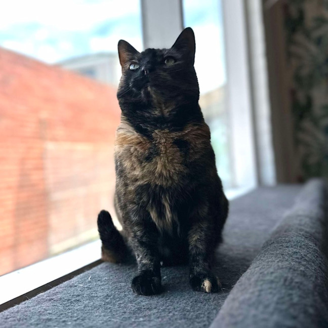 Photo of Kitlyn   Located In Preston