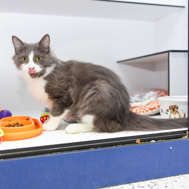 Photo of Miss Chatterbox