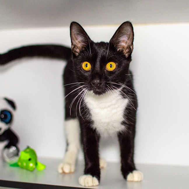 Photo of Dottie