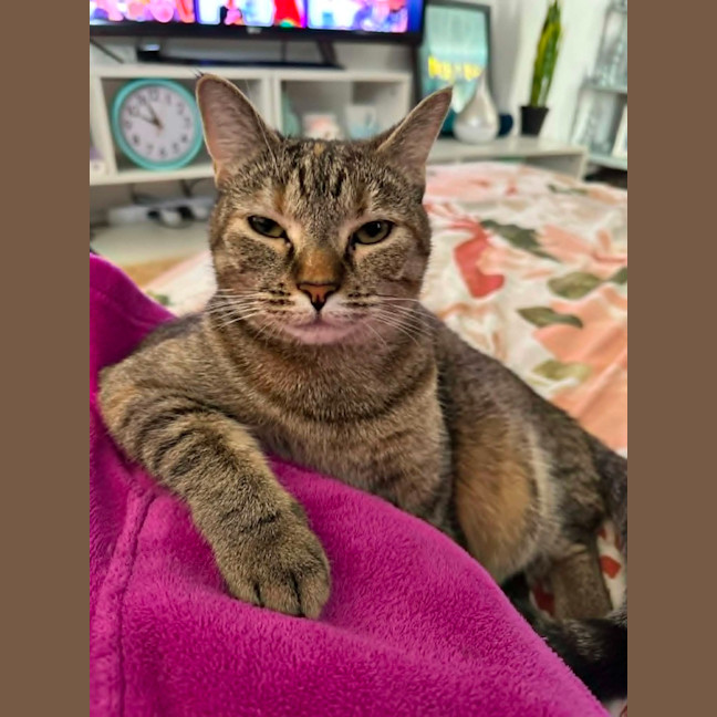 Photo of Phoebe