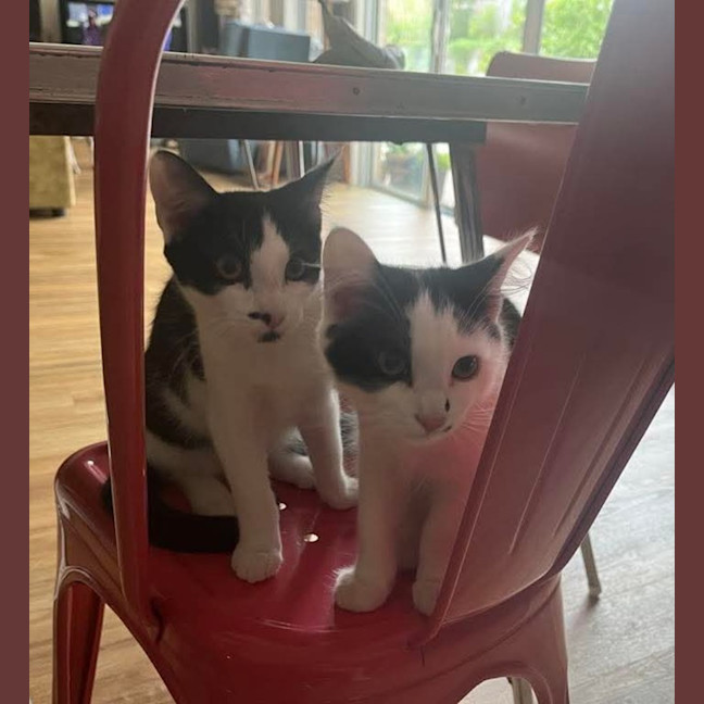 Photo of Acorn & Macadamia 