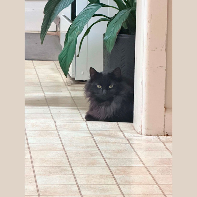Photo of Dee