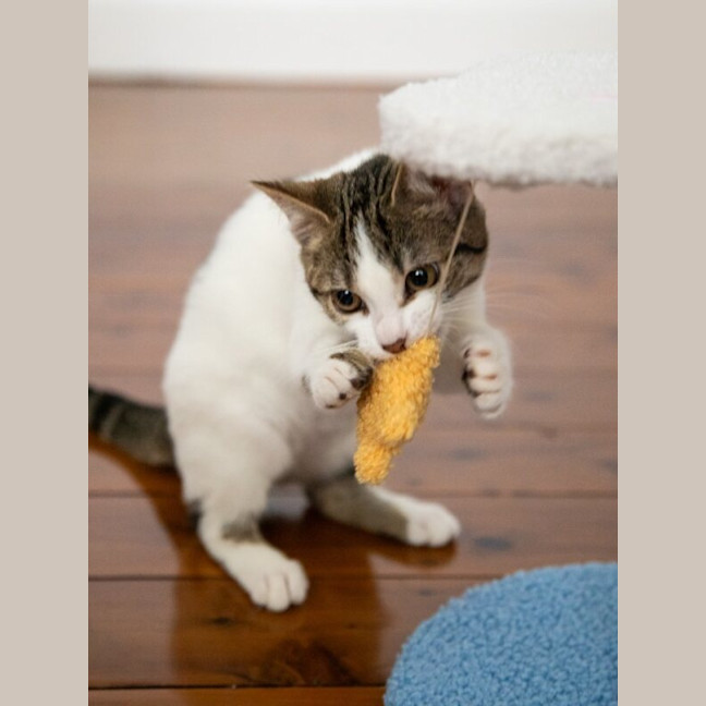 Photo of Lulu