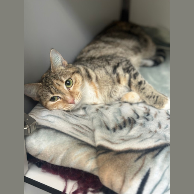 Photo of Coco 