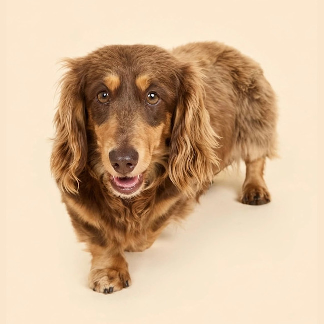 Photo of Matilda