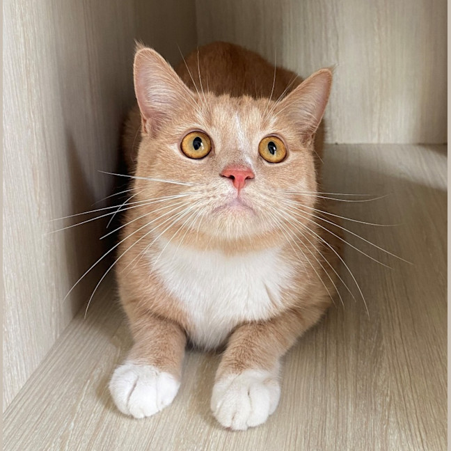 Photo of C1365 Jamie