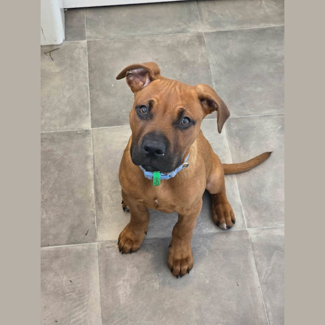 Photo of Ted