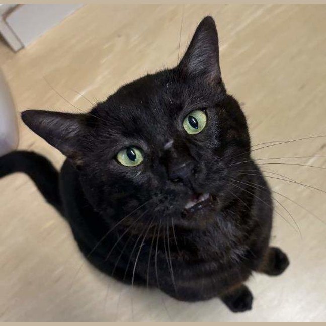 Photo of Reacher