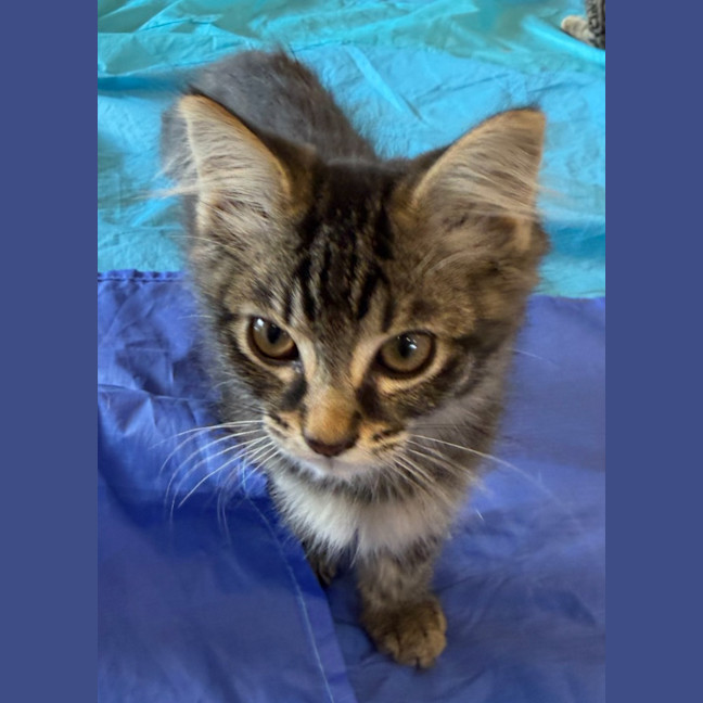 Photo of Elsie