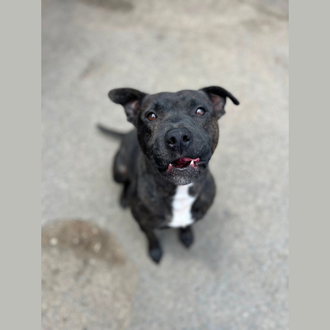 Photo of Miguel Los Santos