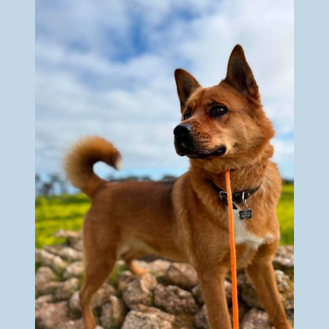 Photo of Tia