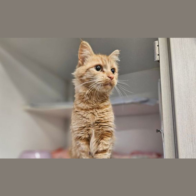 Photo of Madeline