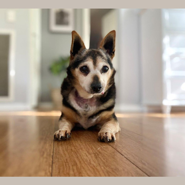 Photo of Miguel Kumara