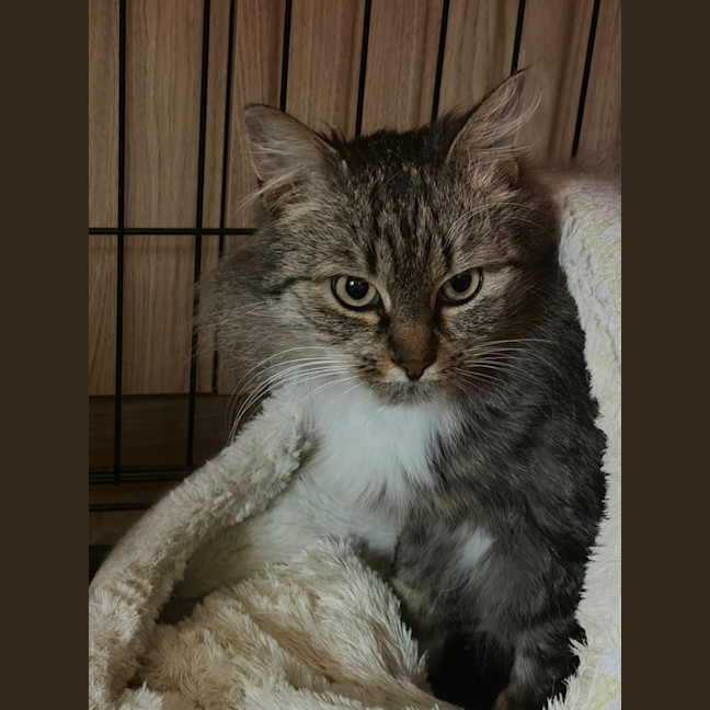 Photo of Charlotte