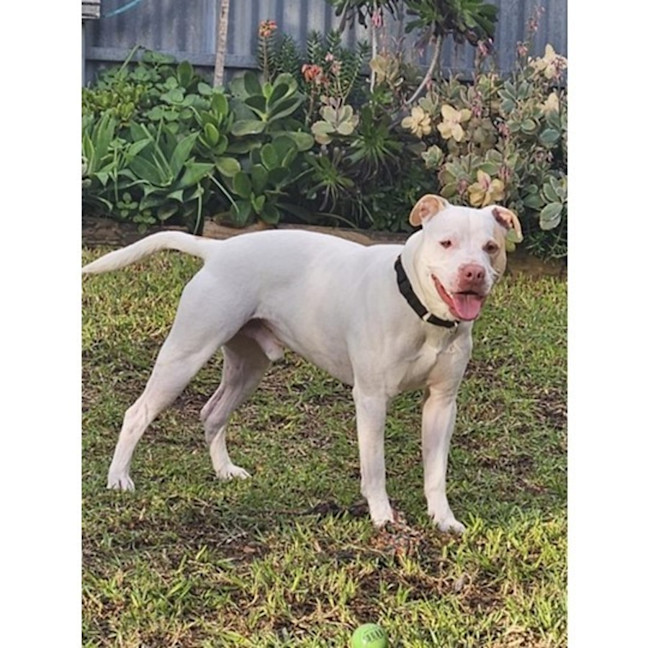 Photo of Jasper