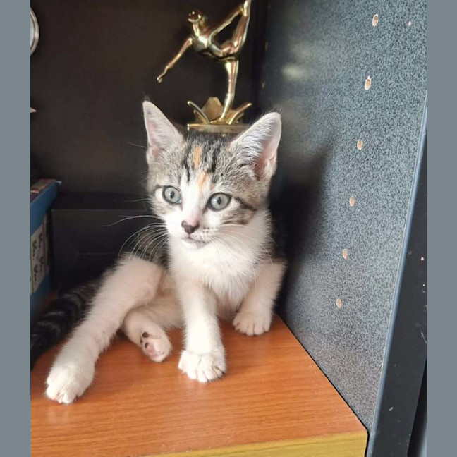 Photo of Eleanor