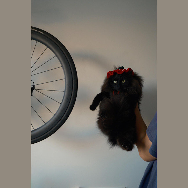 Photo of Rollie