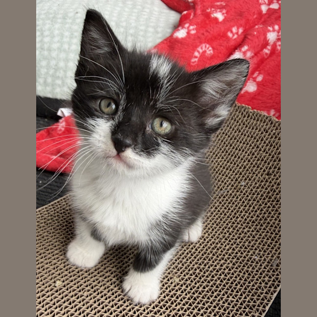 Photo of Moana 🌷🌷🌷