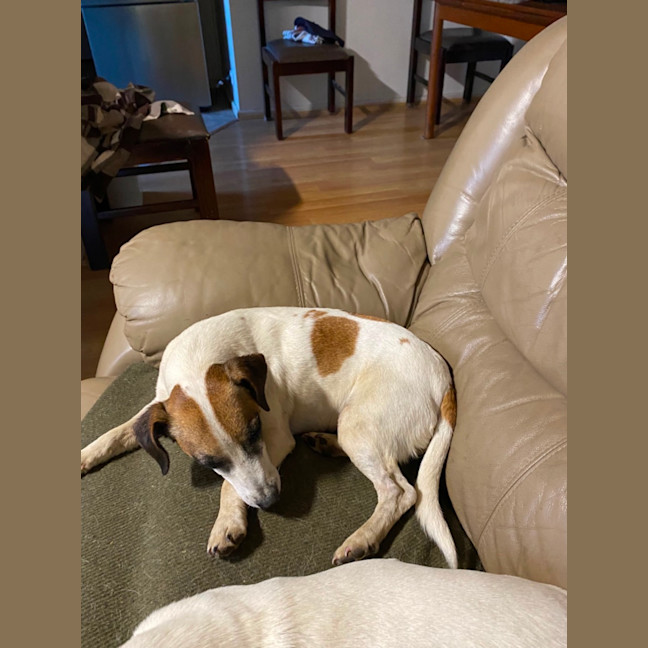 Photo of Turbo And Mazie