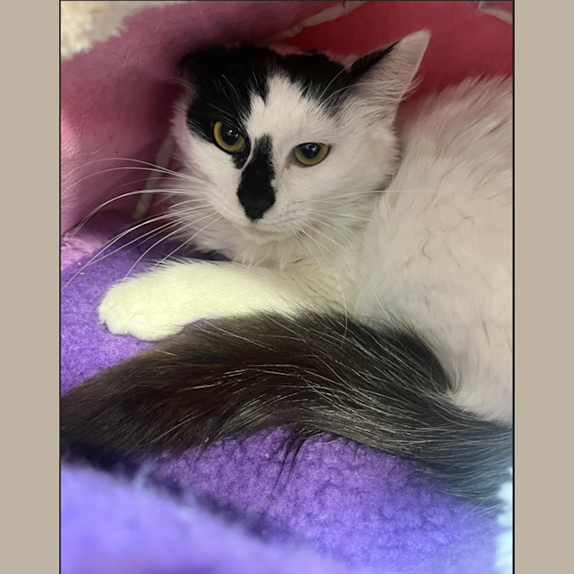 Photo of Edna 
