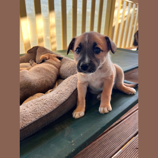 Photo of Athena 