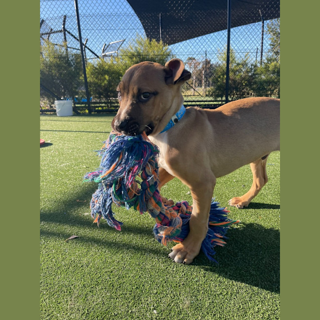 Photo of Cloud Imp 1722