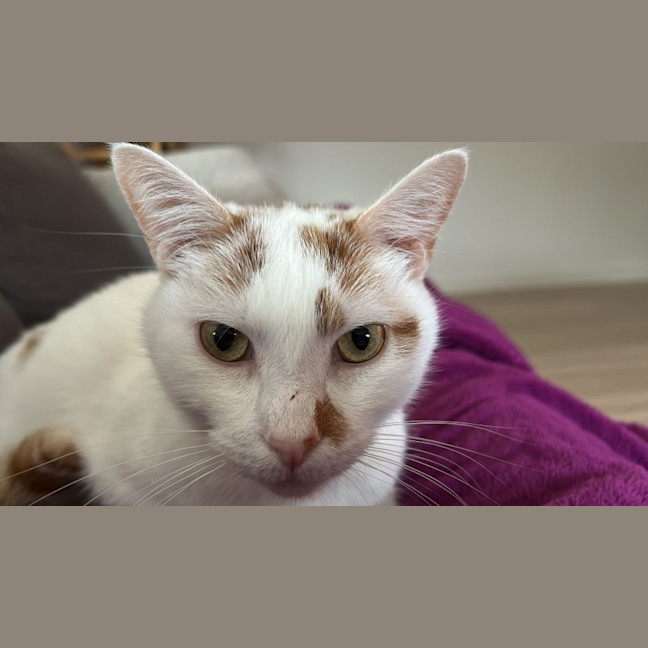 Photo of William