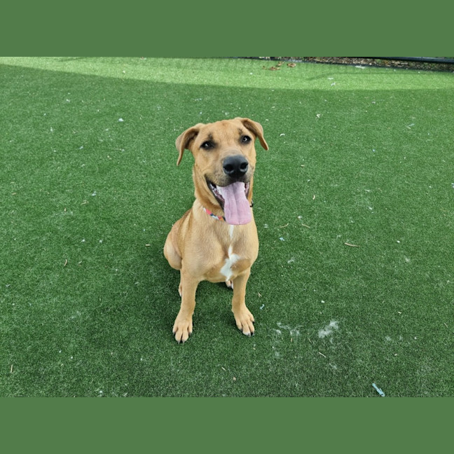 Photo of Xena Imp 2533