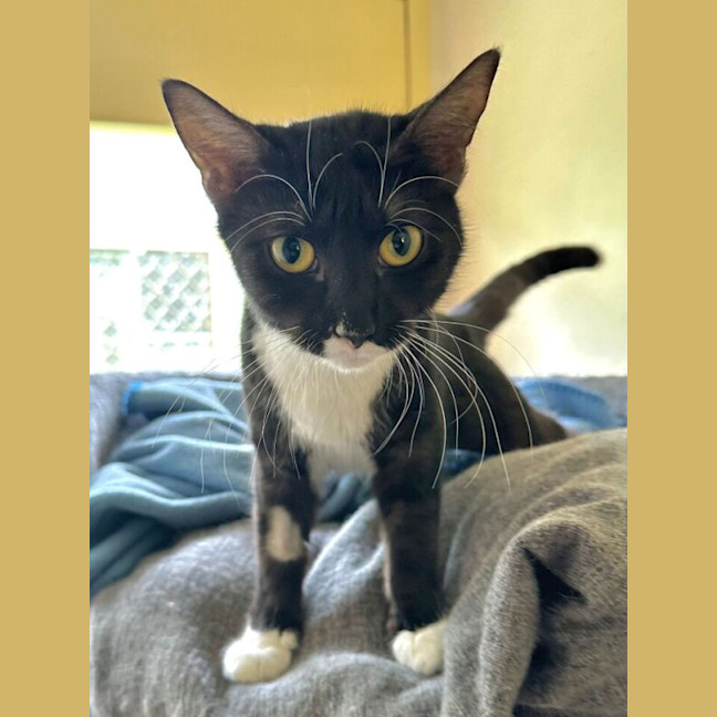 Photo of Freddie